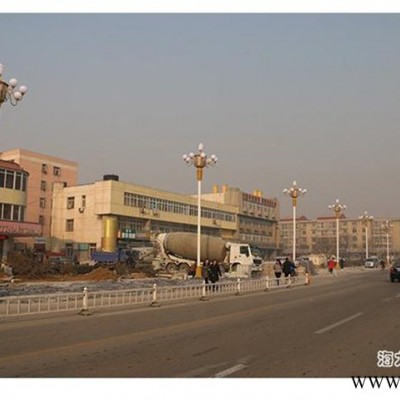华灯高杆灯户外道路灯小区灯九头LED广场灯景观庭院灯玉兰灯