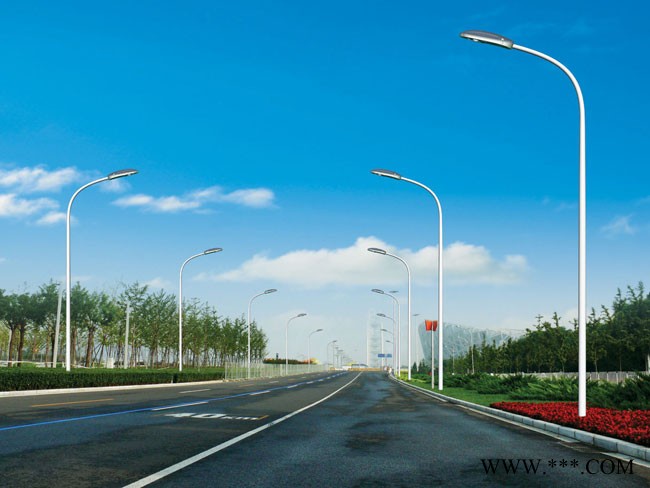 供应宝禹道路灯图1