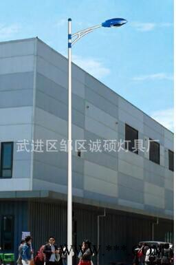其他dld 093新农村道路灯图2