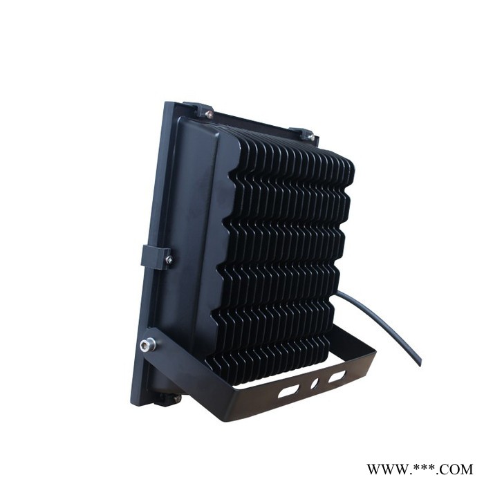 忠山照明100W足瓦led投光灯 LED户外照明灯具 IP65 IP66 防水防雷防尘 高流明 强散热投射灯图3