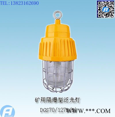 DGS60/127B矿用隔爆型白炽灯图2