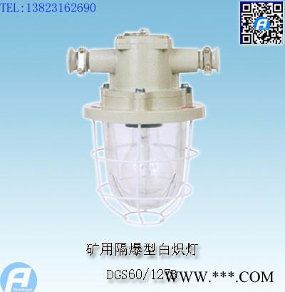 DGS60/127B矿用隔爆型白炽灯图1