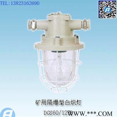 DGS60/127B矿用隔爆型白炽灯