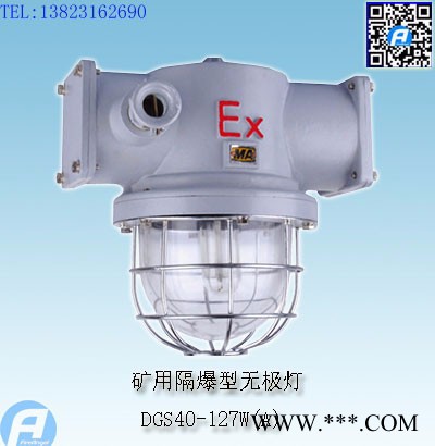 DGS60/127B矿用隔爆型白炽灯图4