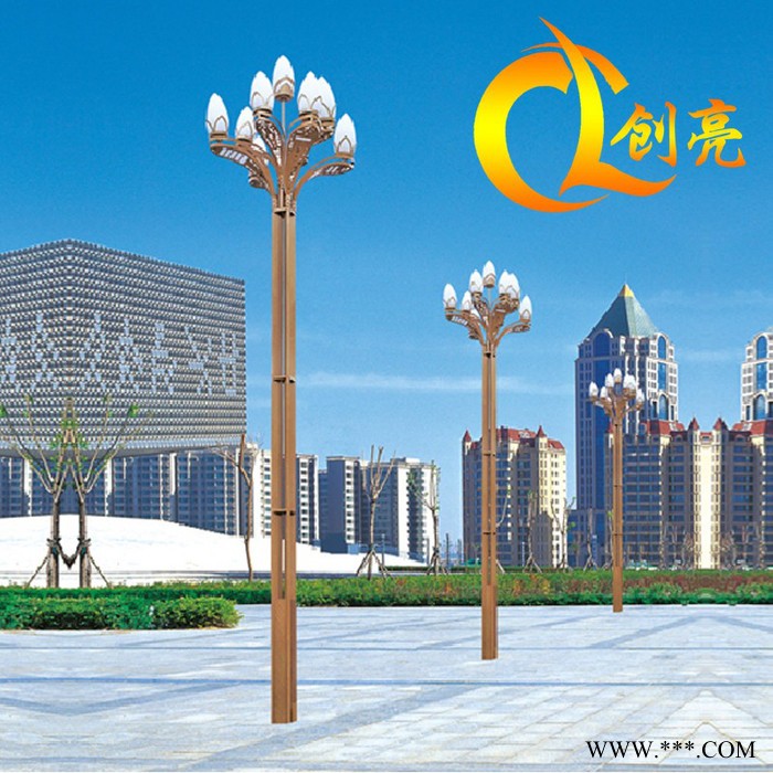 创亮户外照明CL-1280 ** 中华灯 玉兰灯 城市街道 公园 小区 景区 道路灯 户外照明灯具图3