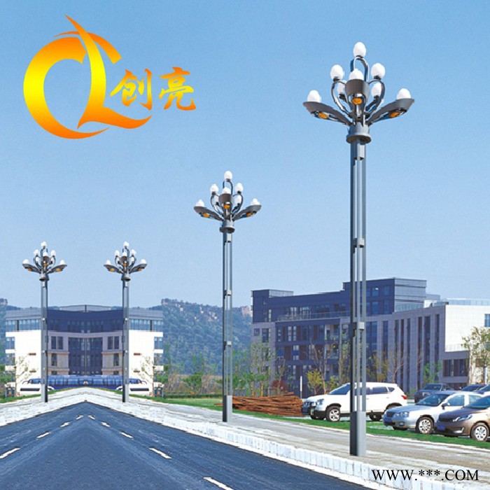 创亮户外照明CL-1280 ** 中华灯 玉兰灯 城市街道 公园 小区 景区 道路灯 户外照明灯具图5