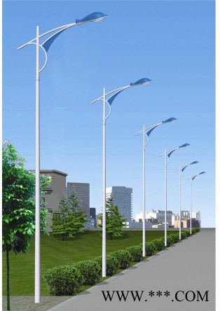 供应SOKOYO普通市电道路灯 LED路灯图1