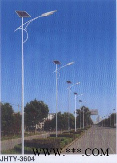 供应金海道路灯照明图2