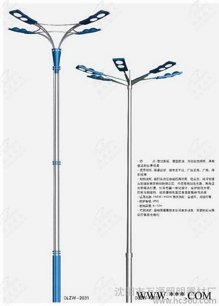 供应万源6米道路灯图2