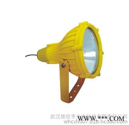 楚欣亨防爆型投光灯 BTC8210防爆投光灯防爆灯具图1