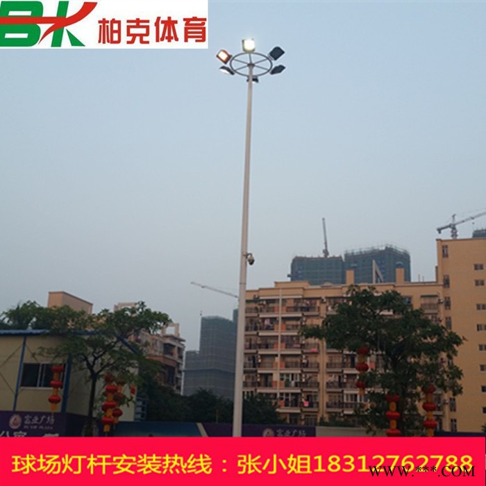户外广场 工程改造道路灯杆** 农村道路6米灯杆图3