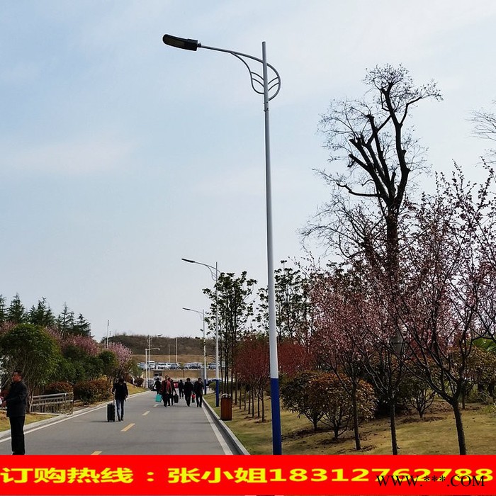 户外广场 工程改造道路灯杆** 农村道路6米灯杆图8