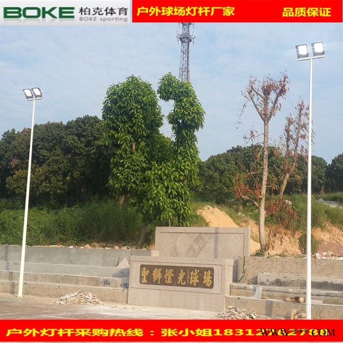 户外广场 工程改造道路灯杆** 农村道路6米灯杆图2