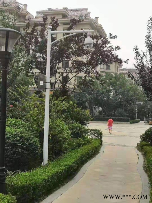 玖恒H6 LED道路灯生产厂家图3