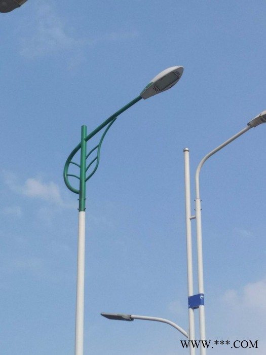 河南郑州路灯厂家价格低太阳能led道路灯节能乡村路灯杆市政道路灯30W批发图3