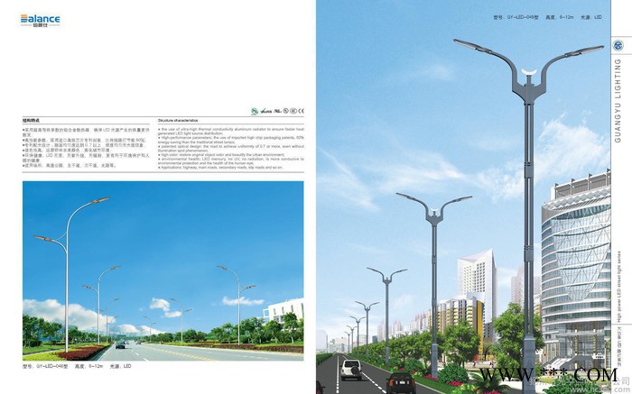 60WLED路灯，道路灯图3