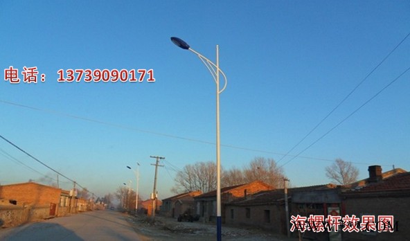 路灯 LED路灯 6米7米海螺杆路灯 道路灯 景观灯户外新农村道路灯 湖南LED路灯厂家 湖南长沙大量现货供应LED路灯图2