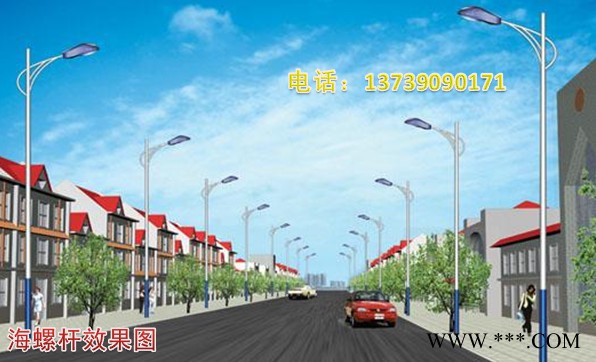 路灯 LED路灯 6米7米海螺杆路灯 道路灯 景观灯户外新农村道路灯 湖南LED路灯厂家 湖南长沙大量现货供应LED路灯图4
