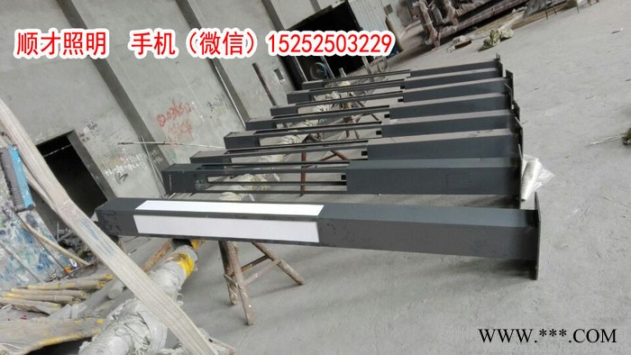 顺才照明特色LED景观灯 方形景观灯柱 新款景观灯 非标定制异形路灯景观灯异形庭院灯特色景观路灯各种造型灯 质量保证图6