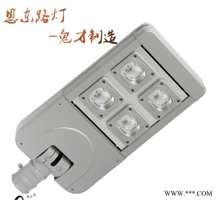 恩东照明 LED路灯 户外灯道路灯 公路 桥梁 照明 120图1