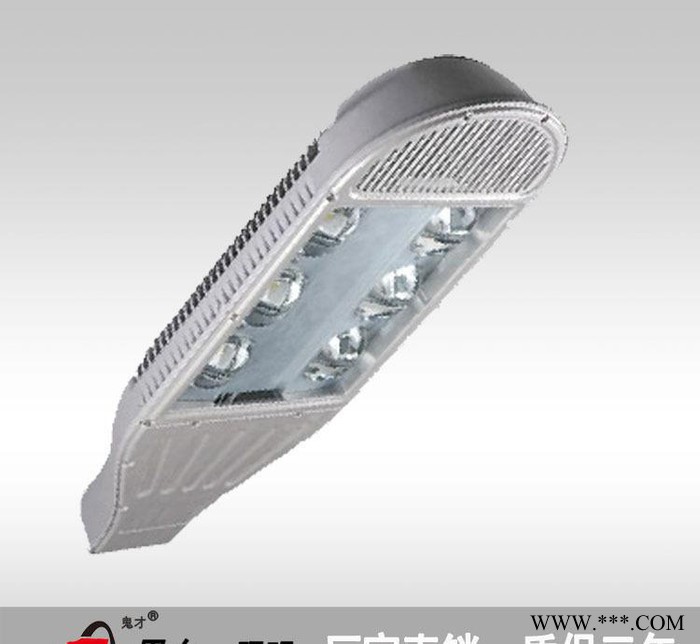 恩东照明 LED路灯 户外灯道路灯 公路照明 60W 180图1