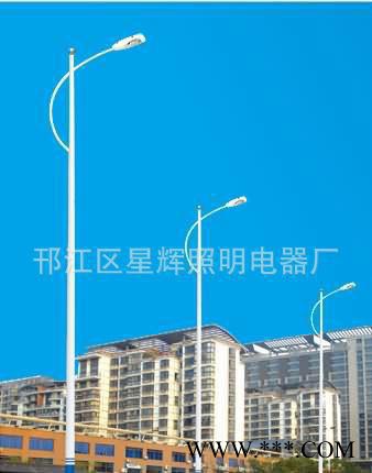 道路照明灯,浙江城市建设路灯，道路灯生产**，质量可靠图2