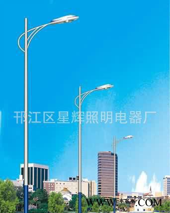 道路照明灯,浙江城市建设路灯，道路灯生产**，质量可靠图3