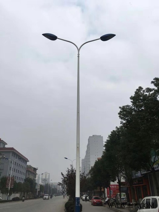 2019中洲DLD 道路照明灯 型号齐全  各式道路灯 **图3