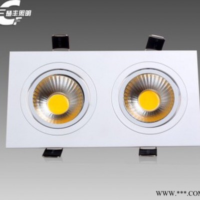 供应楚丰照明LED格栅灯漆白2头3W5W格栅灯 长方形斗胆灯天花灯