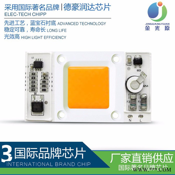 AC免驱动线性集成光源380-840NM全光谱 免驱动光源 **投光灯COB灯珠图2