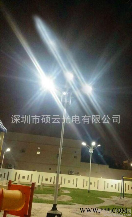 SAR-L40 太阳能路灯 LED太阳能道路灯 路灯led光源 农村新款太阳图2