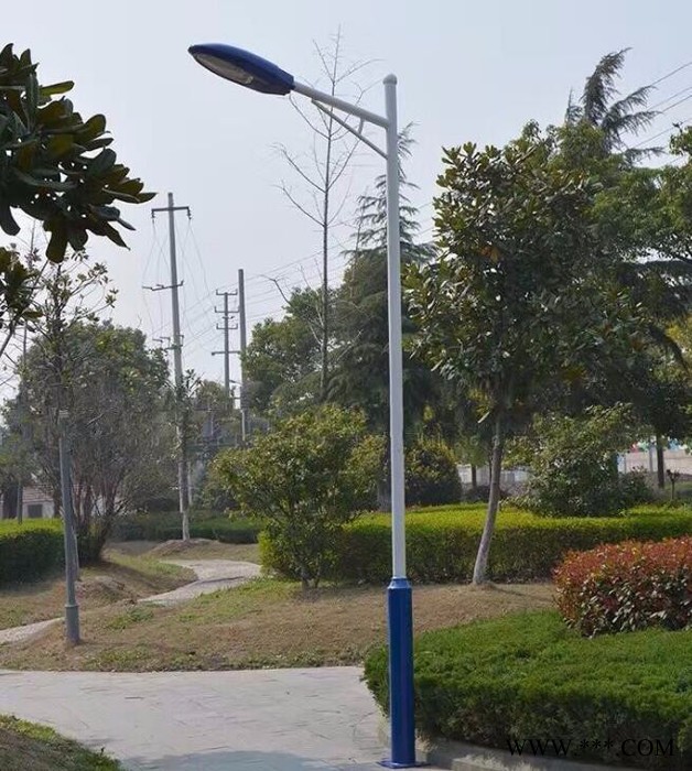 扬州弘旭照明有限公司生产10米道路灯中杆灯户外防水路灯图2