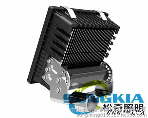 你可以看到的 中山花牌led投光灯  ipad投光灯 led120W户外照明图7