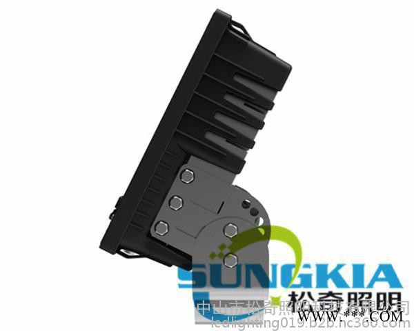 你可以看到的 中山花牌led投光灯  ipad投光灯 led120W户外照明图5