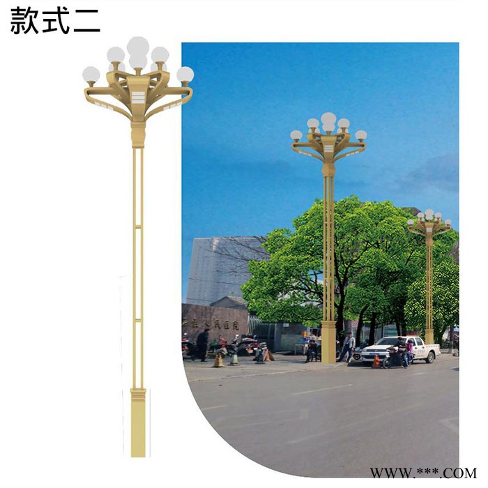 江苏星耀交通  玉兰灯 中华灯 组合灯路灯厂家 厂家定制led景观灯中华灯图7