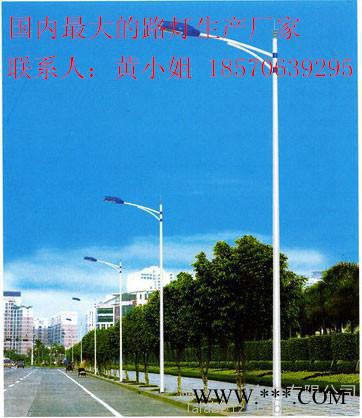 怀化市供应太阳能道路灯图3