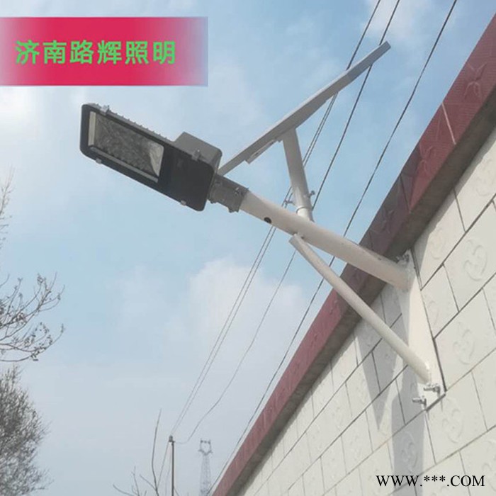 淄川景观灯厂家直供 泰安景观灯生产厂家图5