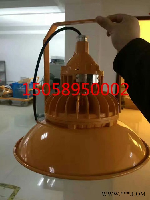 弘安防爆BZD188-06系列免维护高效防爆灯20W-120W护栏立杆式灯LED防爆投光灯图5
