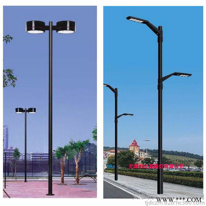 大昌DC-LD 6米30W市政道路一体化路灯价格表 天津led道路灯厂家 可来图定制 led路灯样式图3