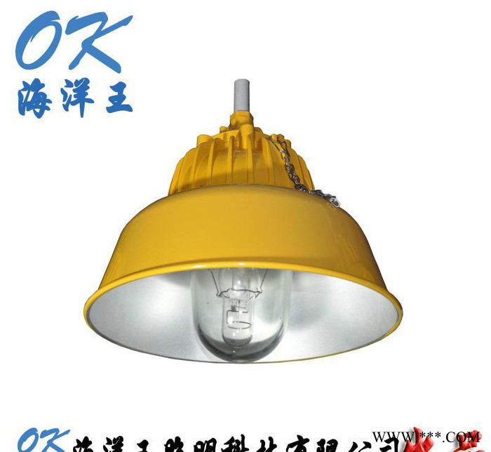 OK海洋王BLC8600防爆道路灯 防爆防水外户灯 大功率钠图1