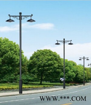 **单臂路灯 低价供应双臂路灯 双臂道路灯批发厂家