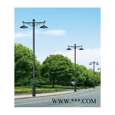 **单臂路灯 低价供应双臂路灯 双臂道路灯批发厂家