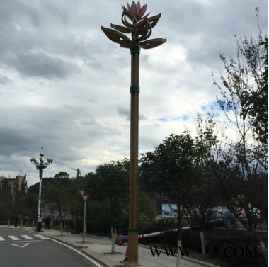 LED景观灯 莲花景观灯 莲花景观灯 中山景观灯图3