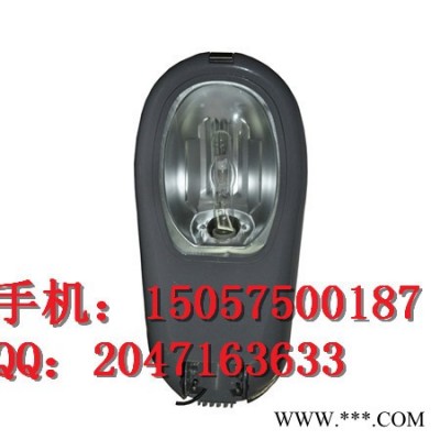 供应标普电器ZY8720ZY8720高效节能道路灯400