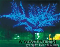 大妙光供应直销户外照明景观灯  异形景观灯 LED树灯  园林灯 庭院灯图5