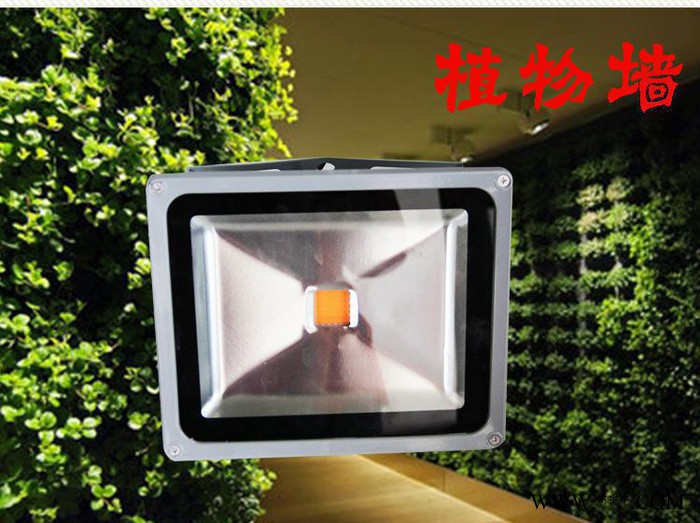 长春**LED透光灯 大功率投光灯/补光植物灯/北大专属图2
