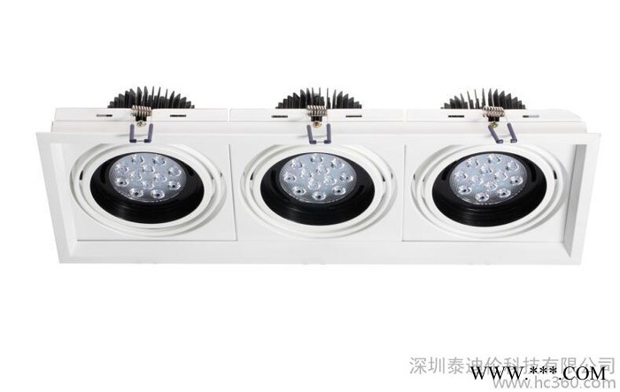 供应TDL-Q35013-60 精致豆胆灯节能格栅灯图2