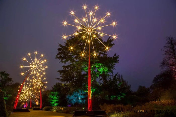 LED景观灯 夜景景观灯 建筑物景观灯 艺术景观灯 景区景观灯 公园景观灯 广场景观灯 步行街景观灯 景观灯生产定制厂家图1