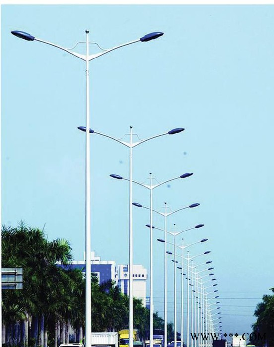 双臂路灯杆,户外灯，道路灯，双臂路灯杆件什么价格？图3