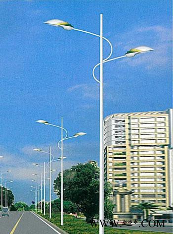 双臂路灯杆,户外灯，道路灯，双臂路灯杆件什么价格？图1